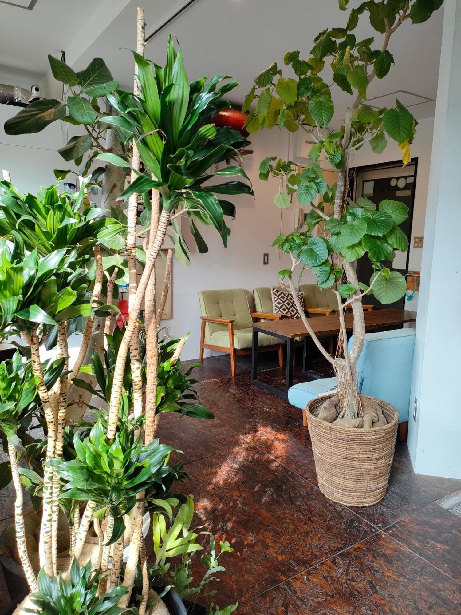 Tokyo Guest House Ouji Music Lounge Экстерьер фото
